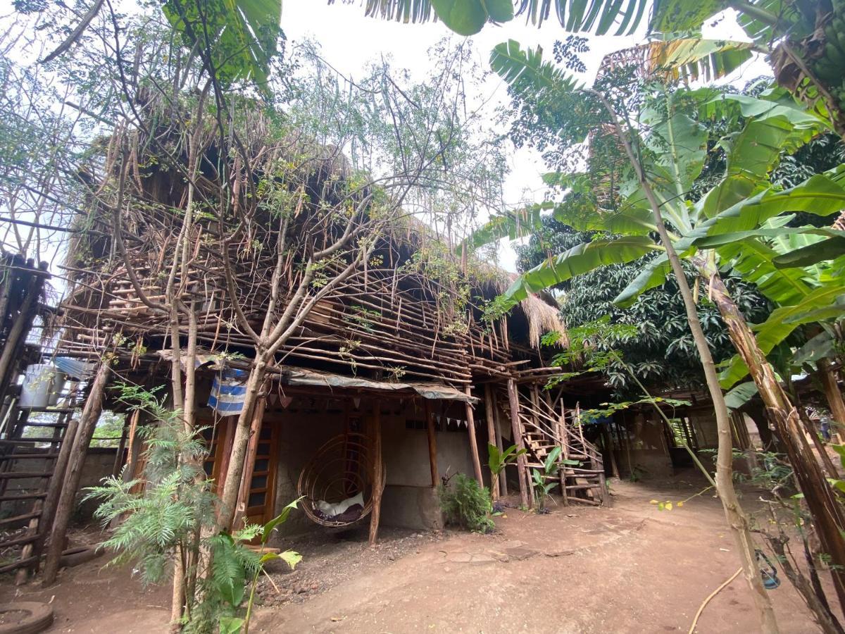 Mountain Bikes House Hostel Moshi Exterior photo