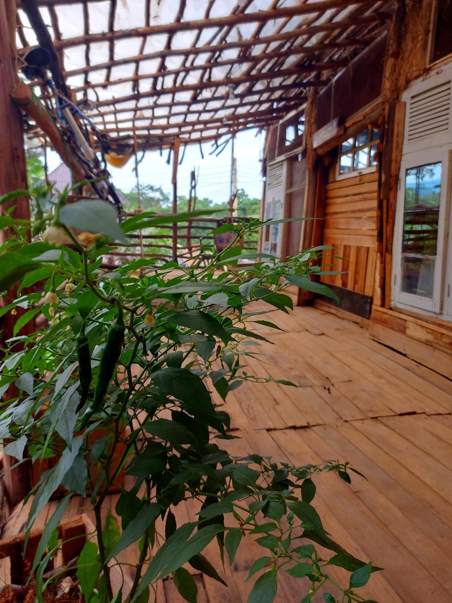Mountain Bikes House Hostel Moshi Exterior photo