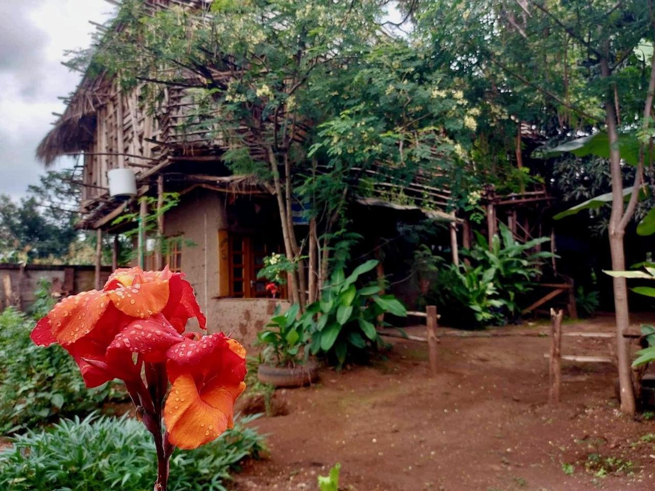 Mountain Bikes House Hostel Moshi Exterior photo